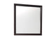 2145-6 Edina Mirror