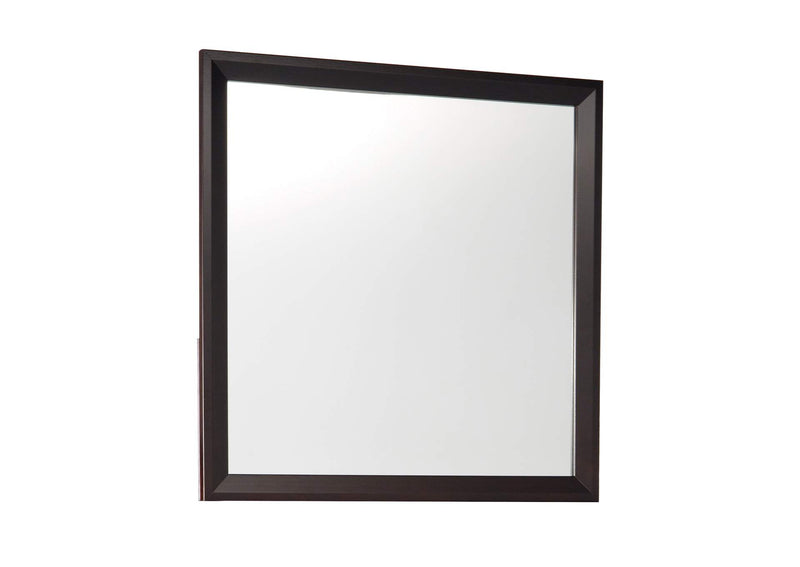 2145-6 Edina Mirror