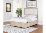 215921Q Pembroke 66-inch Queen Panel Bed Washed Oak
