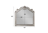 22204 Esteban Mirror