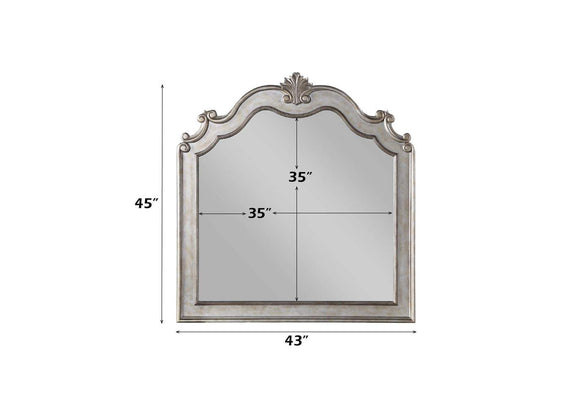 22204 Esteban Mirror