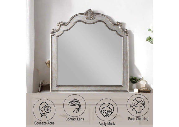22204 Esteban Mirror