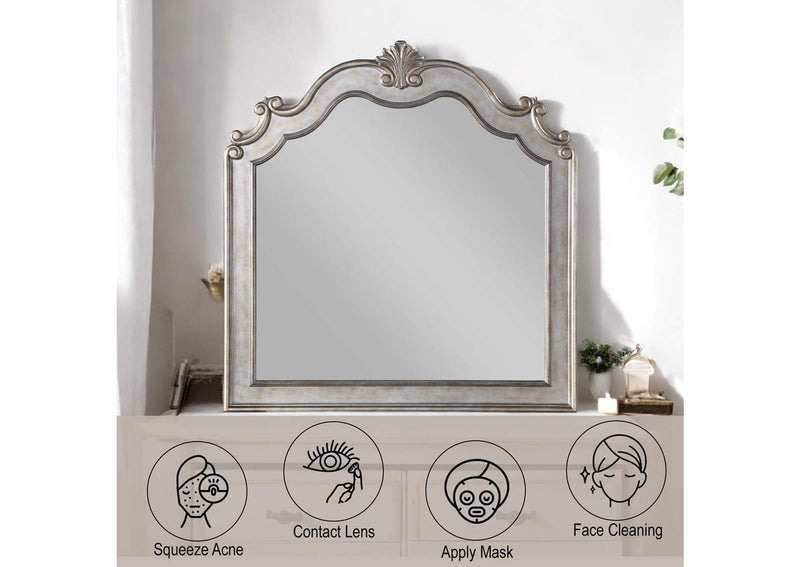 22204 Esteban Mirror