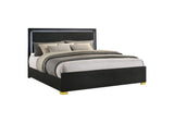 222831KE Marceline Wood Eastern King LED Panel Bed Black