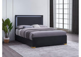 222831Q Marceline Wood Queen LED Panel Bed Black