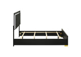 222831Q Marceline Wood Queen LED Panel Bed Black