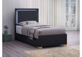 222831T Marceline Wood Twin LED Panel Bed Black