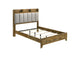 222971Q Henderson 57-inch Queen Bookcase Panel Bed Medium Oak