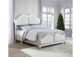 223391Q Evangeline Wood Queen LED Panel Bed Silver Oak