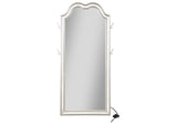 223400 Evangeline Full Length LED Light Floor Mirror Silver Oak