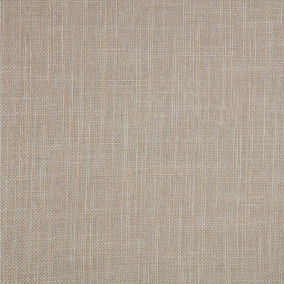 223471Q Bexhill 56-inch Upholstered Queen Panel Bed White