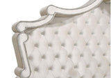 223521Q Antonella Upholstered Queen Panel Bed Ivory and Camel