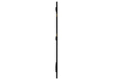 224339 Arini Cane Weave Full Length Standing Floor Mirror Black