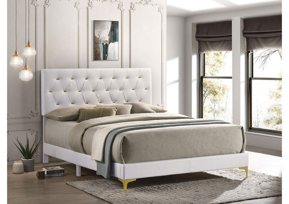 224401Q Kendall Upholstered Queen Panel Bed White