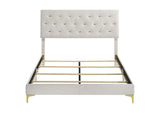 224401Q Kendall Upholstered Queen Panel Bed White