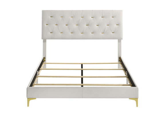 224401Q Kendall Upholstered Queen Panel Bed White