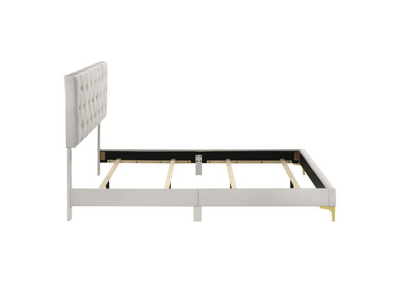 224401Q Kendall Upholstered Queen Panel Bed White