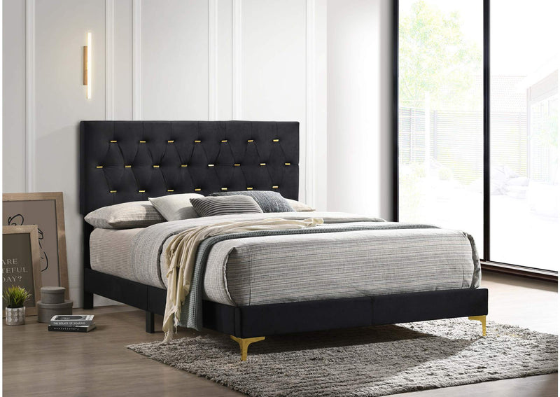 224451Q Kendall Upholstered Queen Panel Bed Black