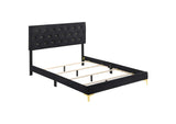 224451Q Kendall Upholstered Queen Panel Bed Black