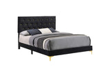 224451Q Kendall Upholstered Queen Panel Bed Black