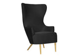 TOV-IHS44150 Julia Black Velvet Wingback Chair