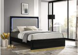 224781Q Caraway Wood Queen LED Panel Bed Black