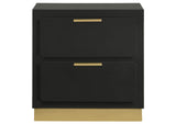 224782 Caraway 2-drawer Nightstand Black