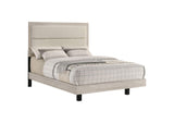 225061F Trenton 54-inch Wood Full Panel Bed Rustic Cream