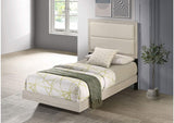 225061T Trenton 54-inch Wood Twin Panel Bed Rustic Cream