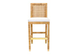 TOV-D44151 Amara Rattan Performance Fabric Bar Stool