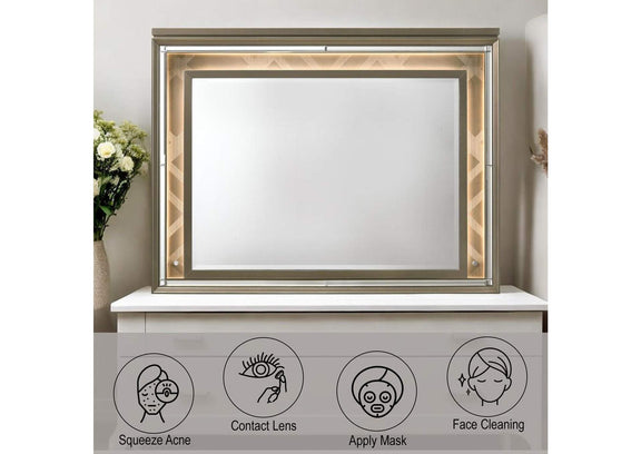25324 Skylar Mirror with Led