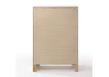 25776 Naima Chest