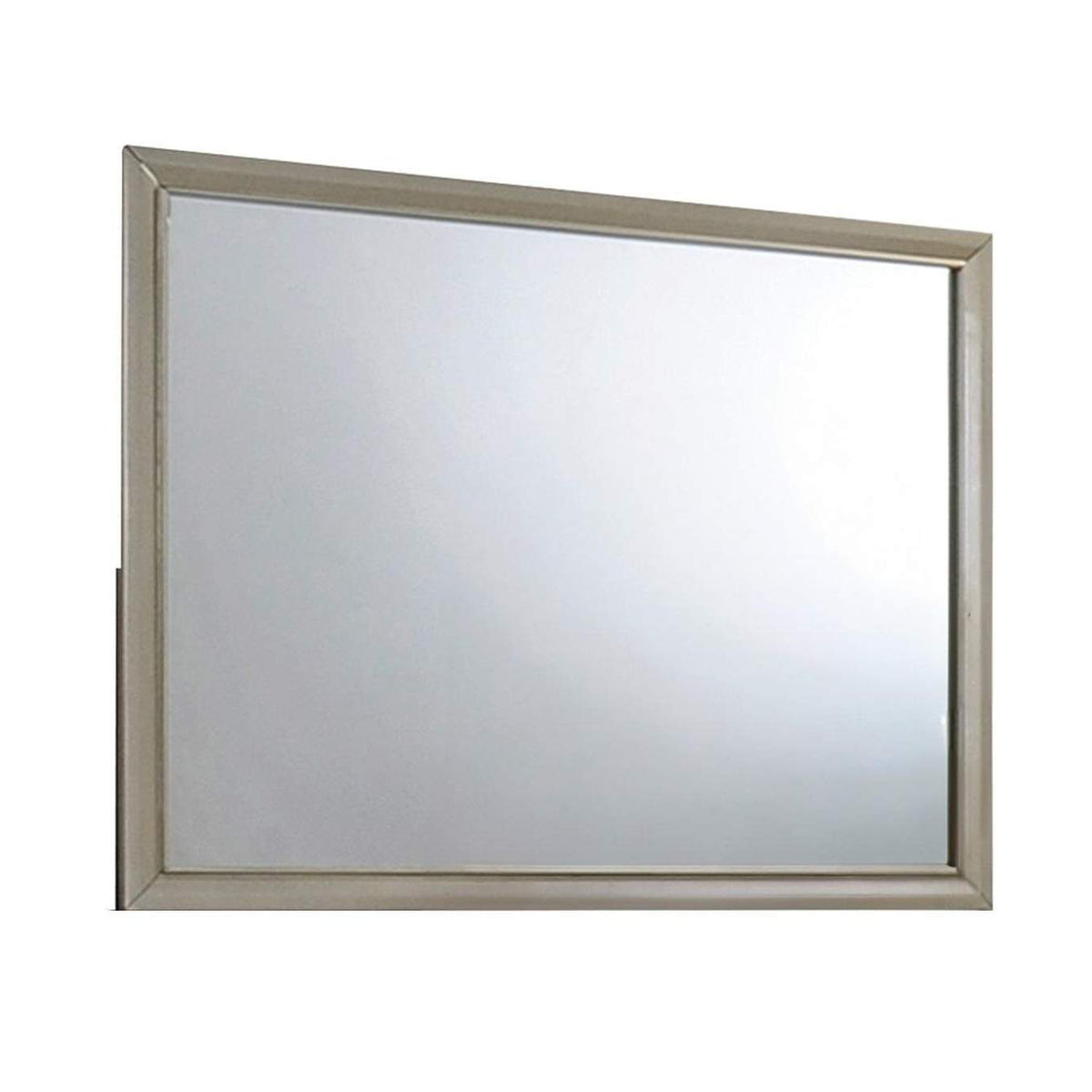26244 Carine Mirror