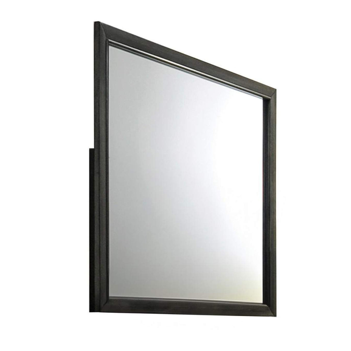 26264 Carine Ii Mirror