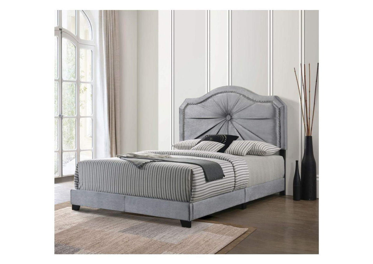 26410Q Frankie Queen Bed