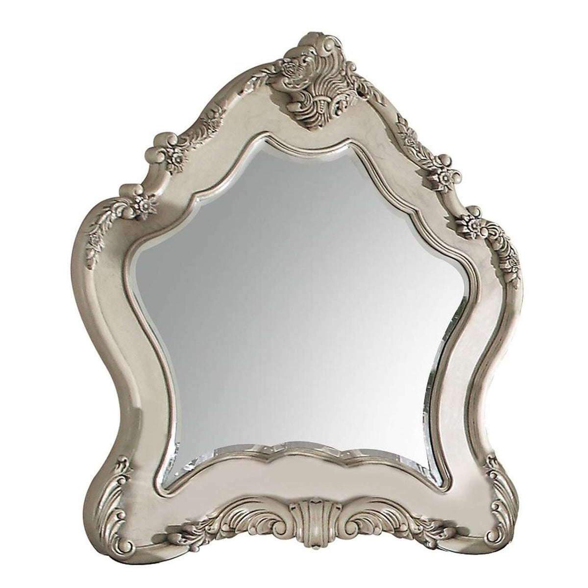 27014 Ragenardus Mirror