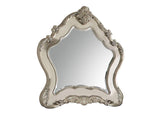27014 Ragenardus Mirror