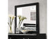 27414 Chelsie Mirror