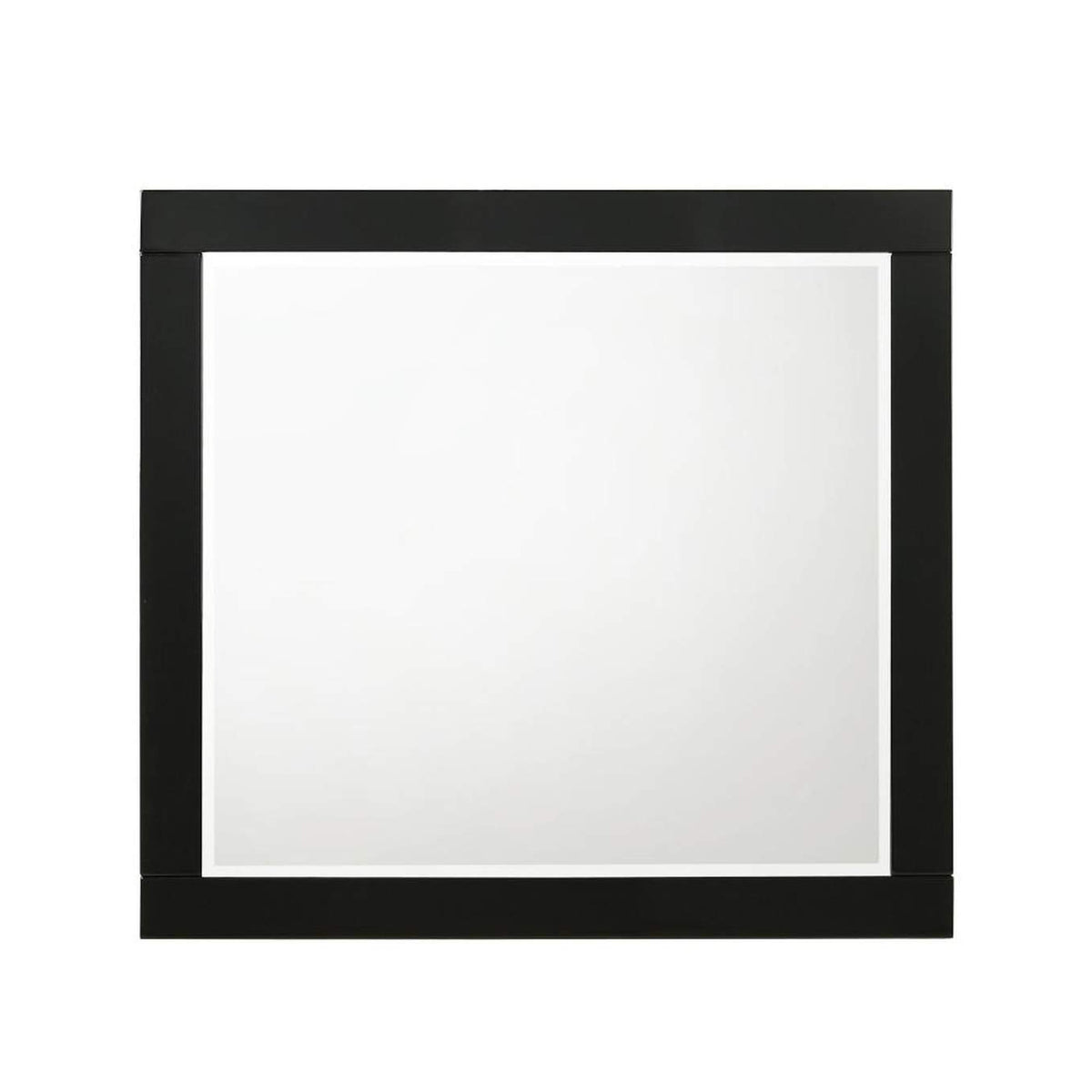 27414 Chelsie Mirror