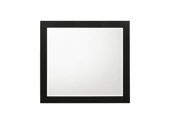 27414 Chelsie Mirror