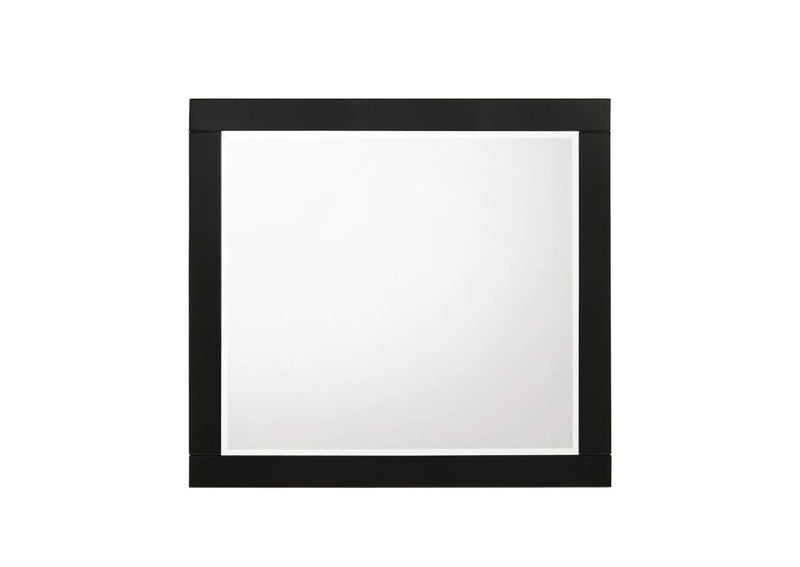 27414 Chelsie Mirror