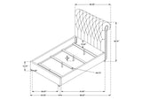 300525Q Devon 57-inch Upholstered Queen Panel Bed Beige