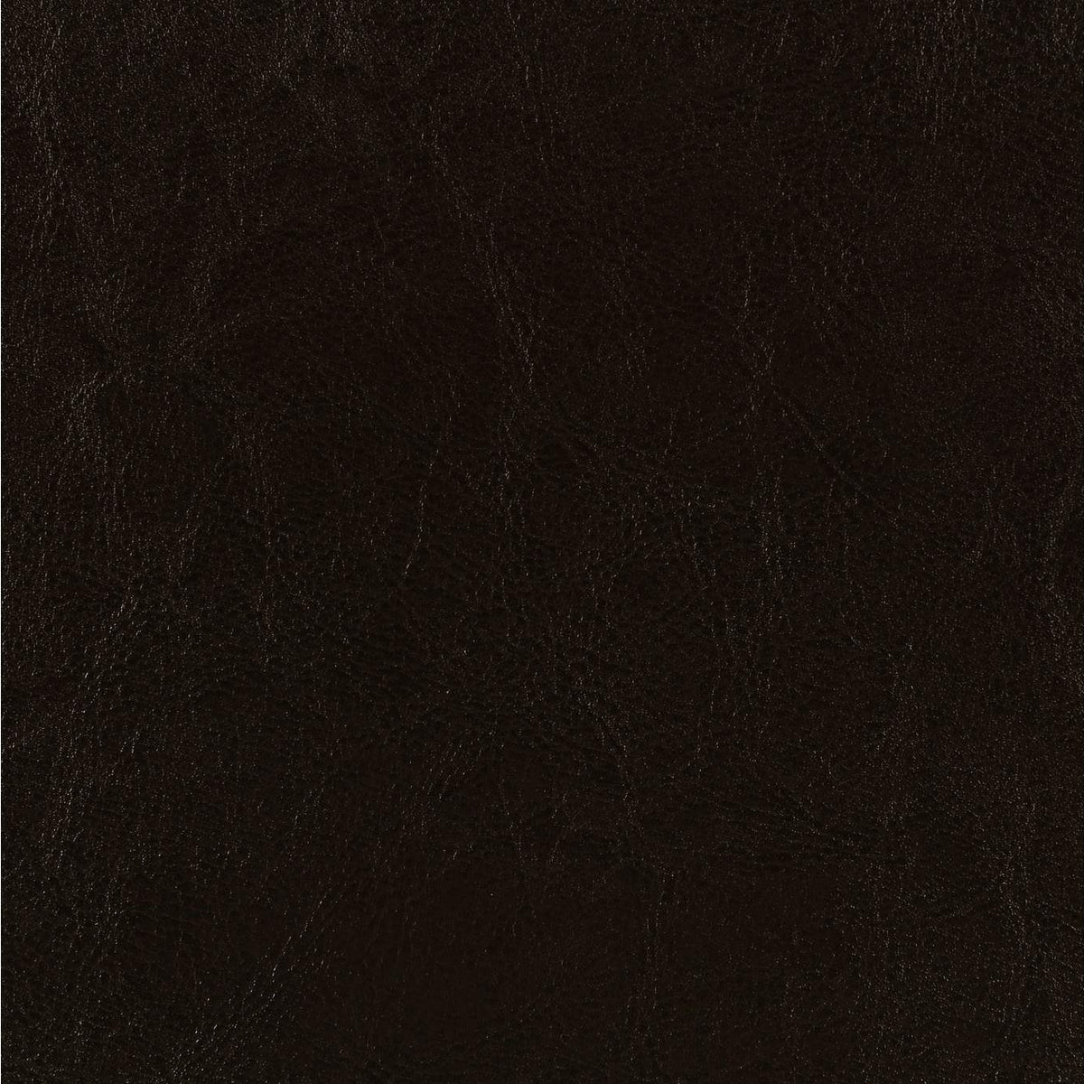 300762T Dorian Faux Leather Upholstered Twin Panel Bed Brown