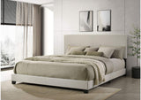 300852KW Dorian Fabric Upholstered California King Panel Bed Cream