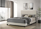300852Q Dorian Fabric Upholstered Queen Panel Bed Cream