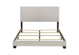 300852Q Dorian Fabric Upholstered Queen Panel Bed Cream