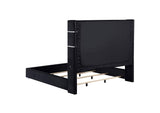 306031Q Tisdall Upholstered Queen Flame Visualizer Bed Black