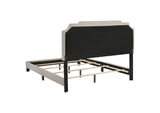 310061KE Tamarac Upholstered Eastern King Panel Bed Beige