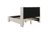 310078Q Alamosa Boucle Upholstered Queen Wingback Bed White