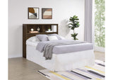 315881F Westpark 49-inch Full Bookcase Headboard Dark Pine